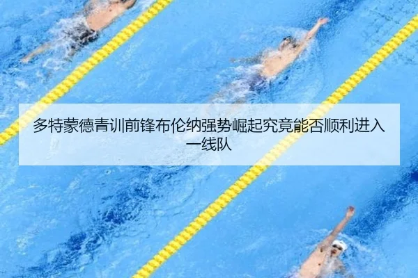 多特蒙德青训前锋布伦纳强势崛起究竟能否顺利进入一线队